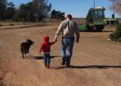 man child dog walking toward farm tractor